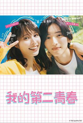 浦城专业seo哪家好